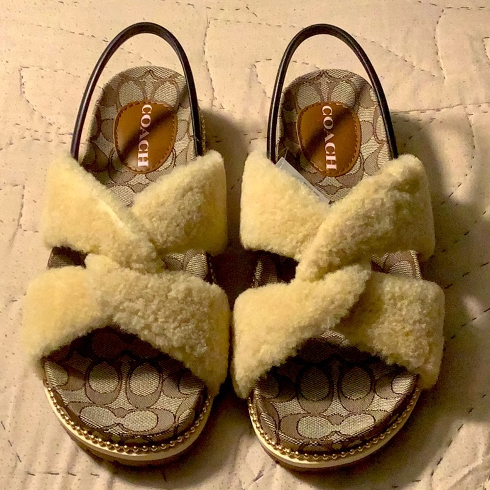 (Coach) Tally Shearlg Sandals